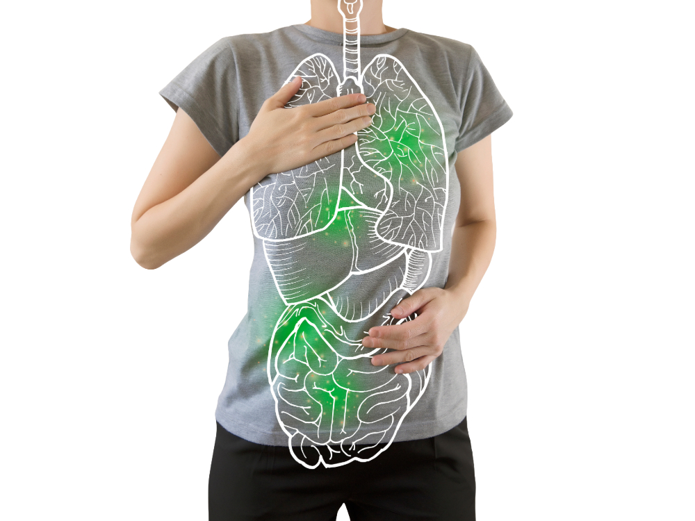 how to detox to support your thyroid how to detox to support your thyroid