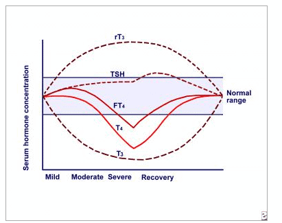 a diagram of various thyroid lab tests over time and based on the severity of disease.