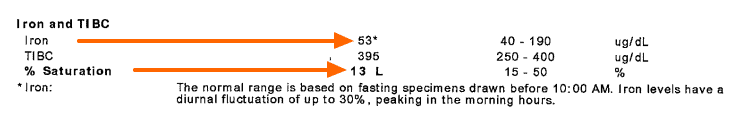 Dave's lab tests showing a low normal serum iron with a low % saturation.