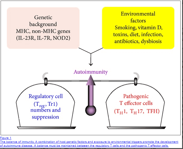 a figure which describes the relationship between environmental factors and genetics and how they both influence autoimmune risk.