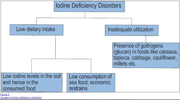a flow chart showing the difference in low iodine intake and inadequate iodine utilization and the thyroid diseases associated with each.