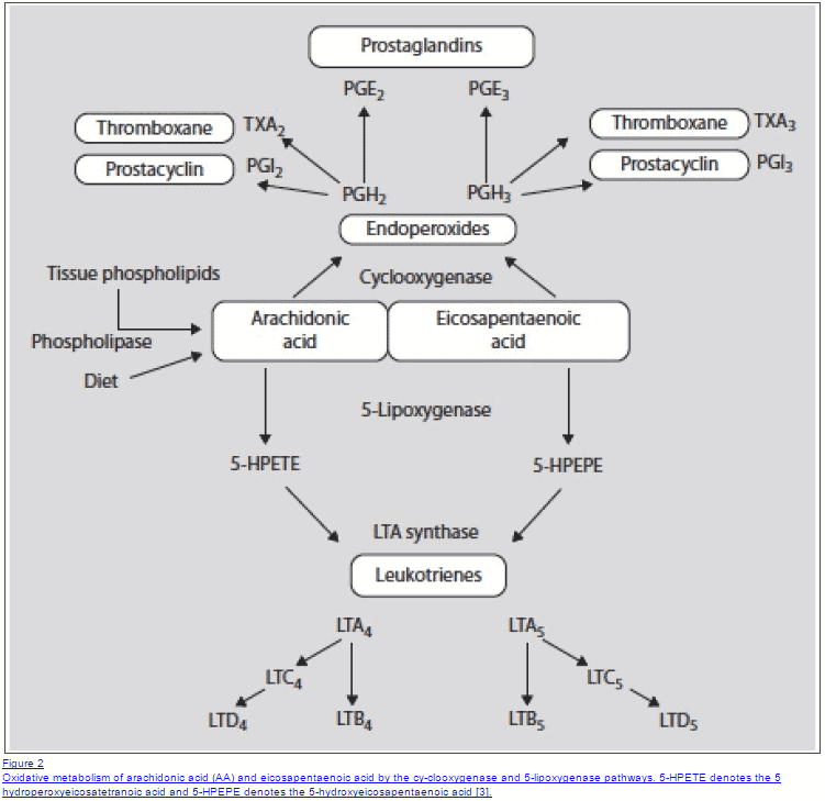 a complex diagram that shows the arachidonic acid pathway.
