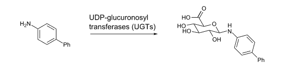 a chemical equation showing the action of UDP-glucuronosyl transferases.
