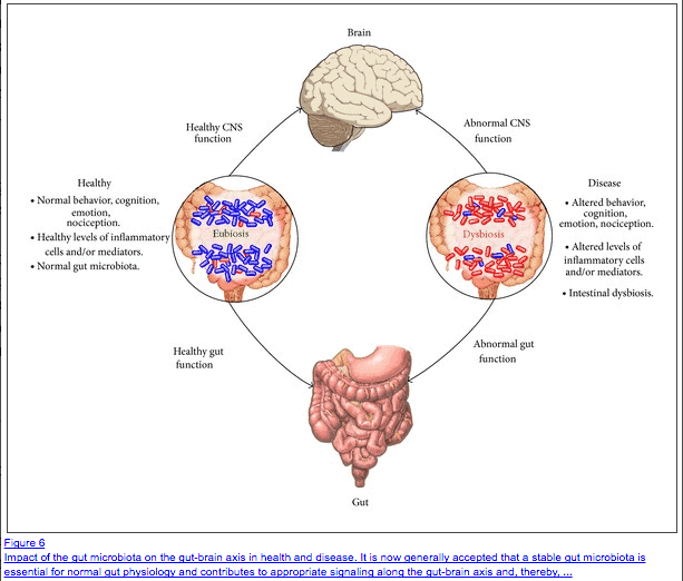 a figure depicting how healthy and unhealthy gut impacts the brain-gut connection.