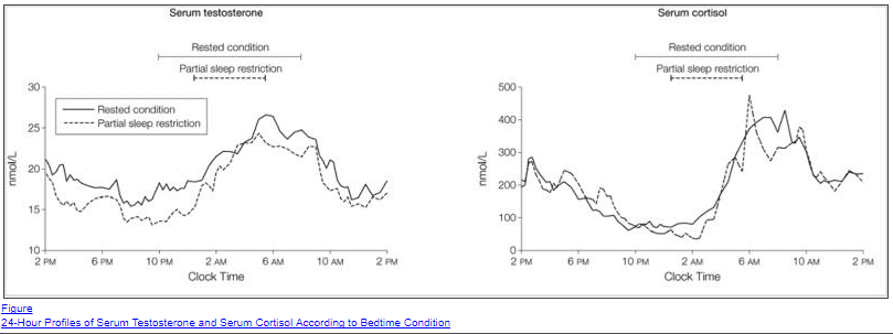 two graphs which show testosterone levels throughout the day based on sleep conditions.