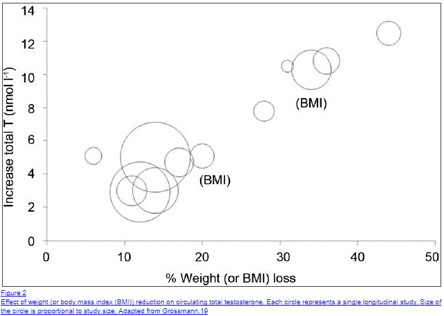 a graph highlighting testosterone levels and percent BMI of various studies which tested both.