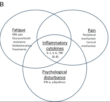fatigue and inflammation pathway fatigue and inflammation pathway