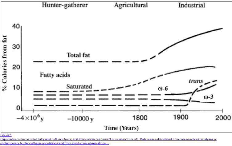 high dat diet increases risk of obesity high dat diet increases risk of obesity