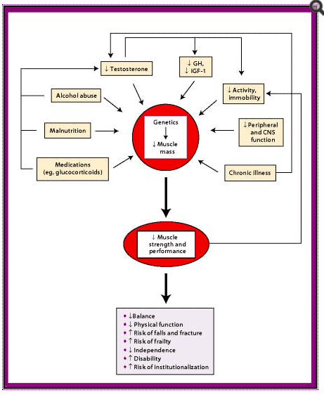 factors that reduce total testosterone in men factors that reduce total testosterone in men