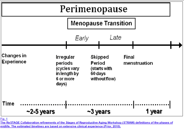 progesterone changes over time in the female progesterone changes over time in the female