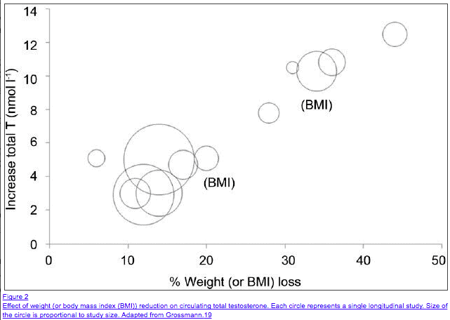studies showing obesity compared to testosterone levels studies showing obesity compared to testosterone levels