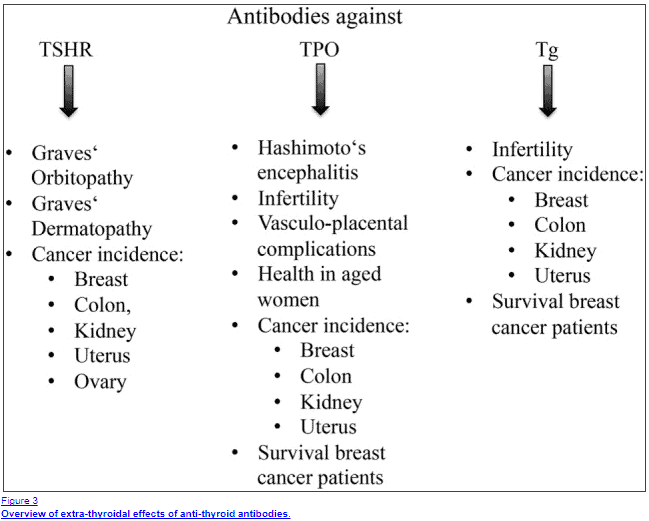 The presence of anti thyroid antibodies can be used as a marker for thyroid status and future cancer risk The differences in thyroid antibodies and their effects on various tissues in the body