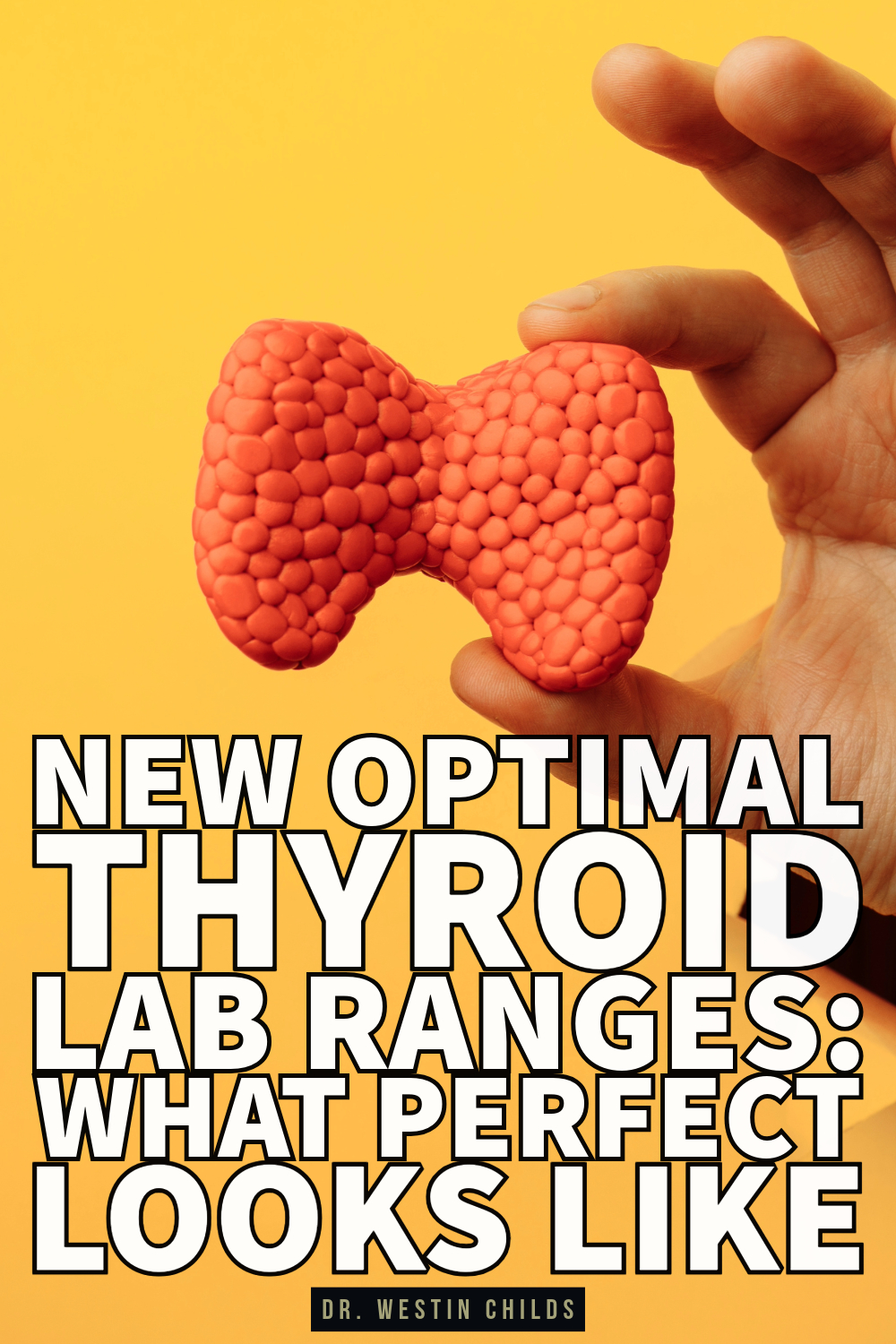 new optimal thyroid lab ranges, what perfect looks like new optimal thyroid lab ranges, what perfect looks like