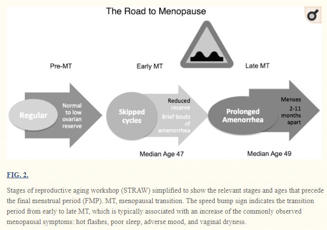 symptoms associated with perimenopause and menopause symptoms associated with perimenopause and menopause