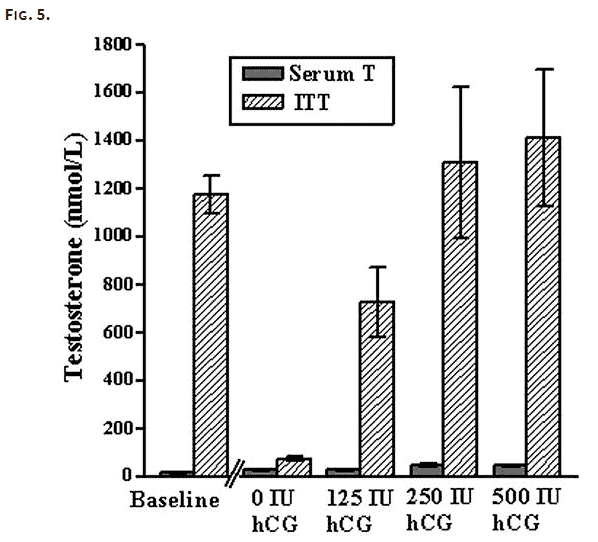 dosing hcg in men for maximum testosterone dosing hcg in men for maximum testosterone