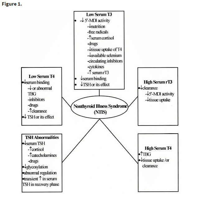 pathogenesis of euthyroid sick syndrome pathogenesis of euthyroid sick syndrome