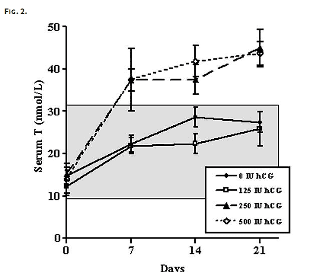 serum testosterone rises in response to hCG serum testosterone rises in response to hCG