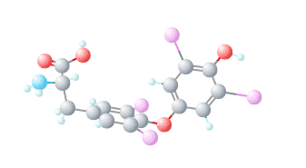 T4 thyroid hormone molecular structure T4 thyroid hormone molecular structure
