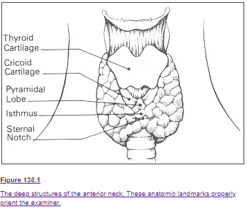 anatomy of the thyroid gland anatomy of the thyroid gland