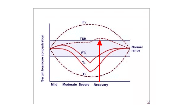 a diagram of various thyroid lab tests over time and based on the severity of disease with an arrow pointing at when the TSH becomes abnormal.
