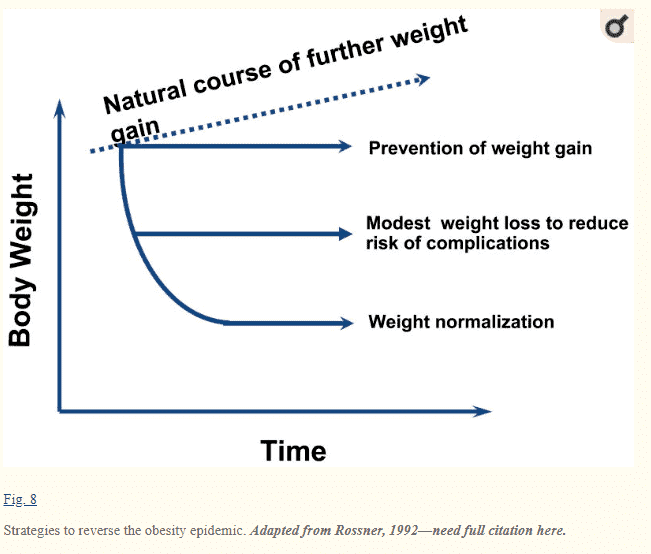 graph showing how weight progresses over time based on various factors