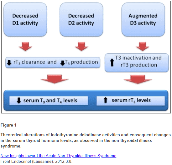 inactivation of D1 and D2 in nonthyroidal illness inactivation of D1 and D2 in nonthyroidal illness