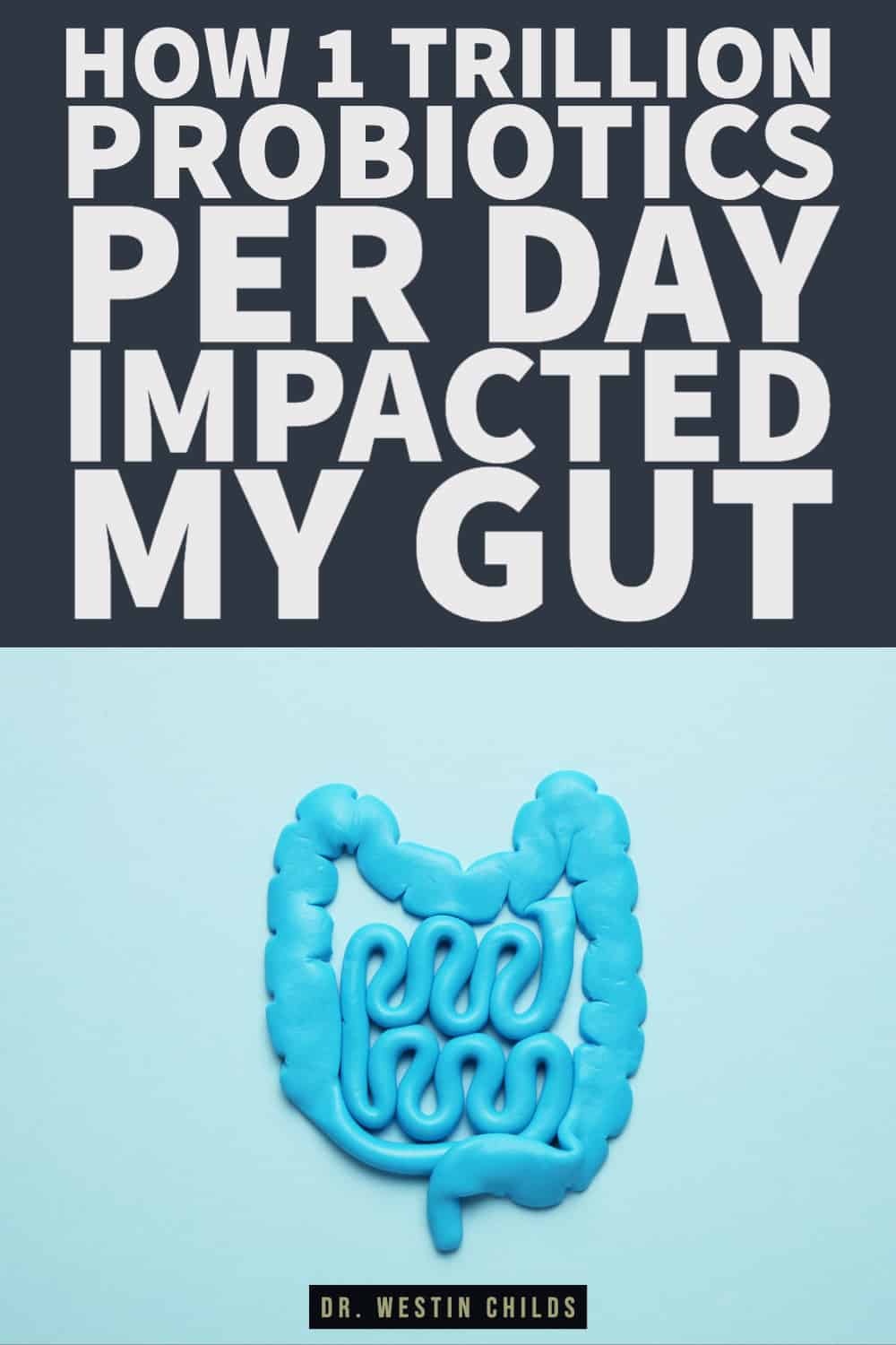 how 1 trillion probiotics per day impacted my gut-1 how 1 trillion probiotics per day impacted my gut