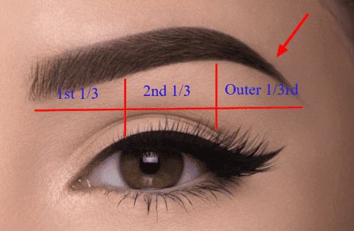 thyroid eyebrow hair loss occurs in the outer one third of the eyebrow thyroid eyebrow hair loss occurs in the outer one third of the eyebrow