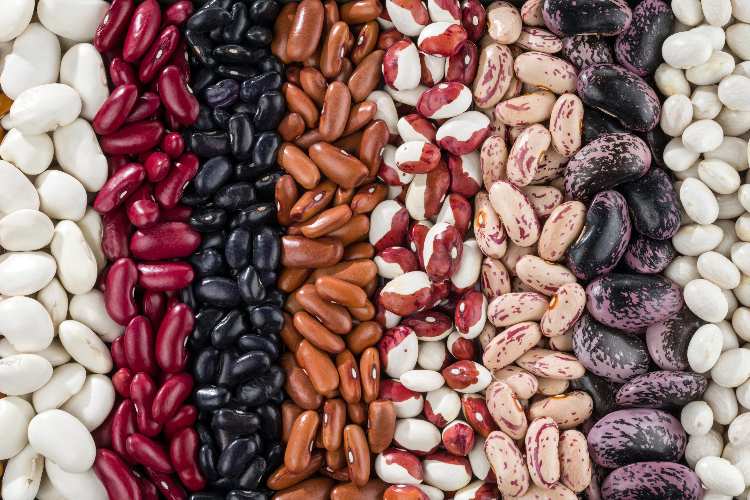 beans and legumes may cause gut problems for thyroid patients beans and legumes may cause gut problems for thyroid patients