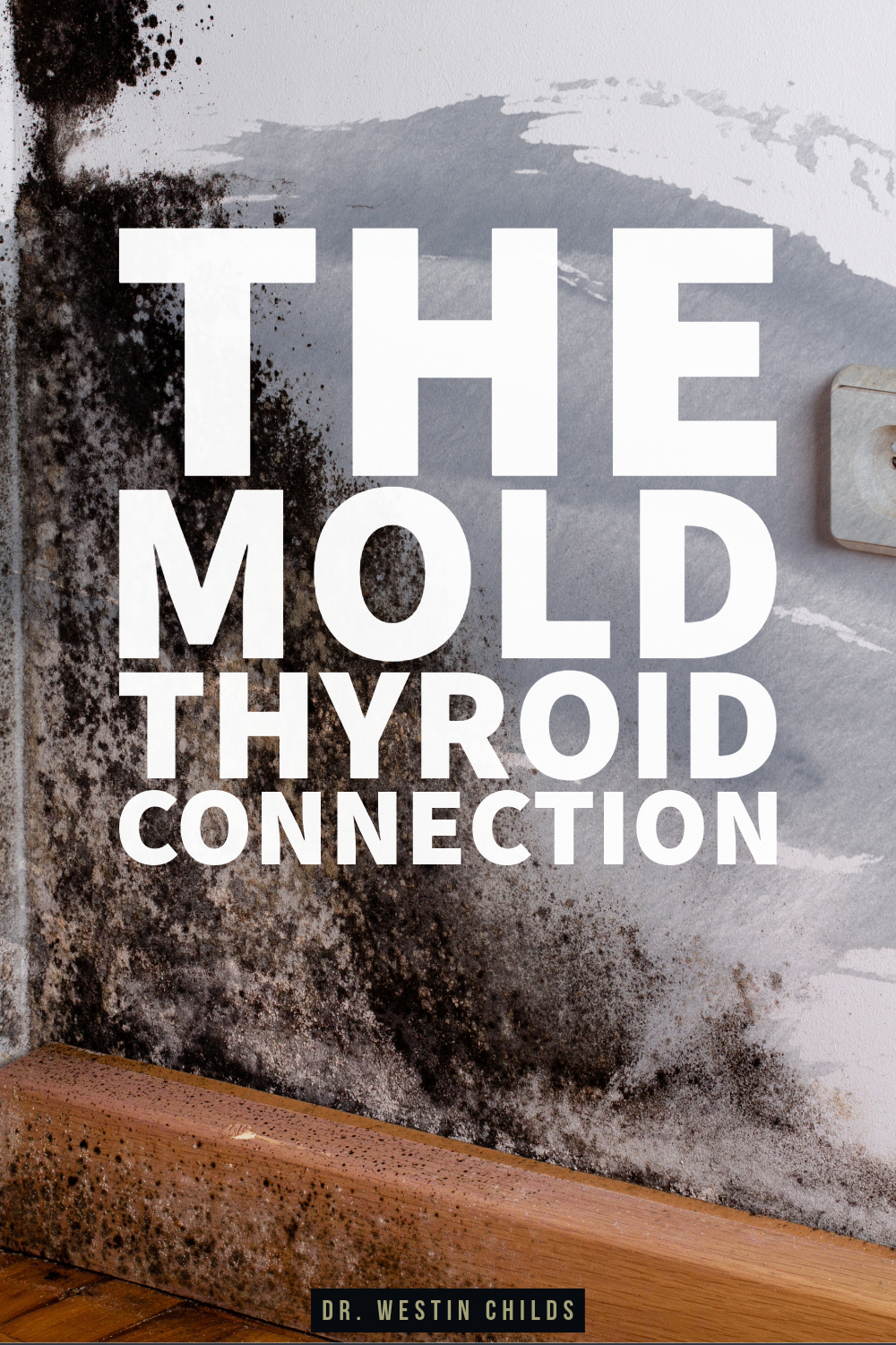 the mold thyroid connection the mold thyroid connection
