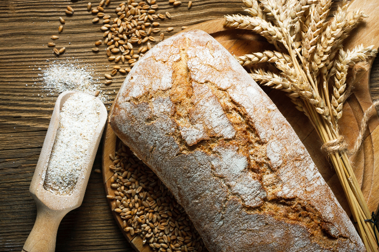 gluten can be harmful to those with hashimoto's gluten can be harmful to those with hashimoto's