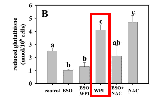 impact of whey protein isolate on reduced glutathione impact of whey protein isolate on reduced glutathione compared to other compounds.