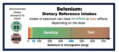 graph outlining selenium intake on a gradient from beneficial to harmful based on the dose graph outlining selenium intake on a gradient from beneficial to harmful based on the dose
