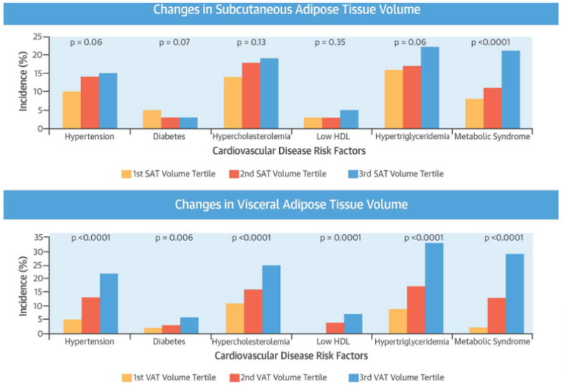 changes in visceral and subcutaneous fat and their corresponding incidence of cardiovascular disease changes in visceral and subcutaneous fat and their corresponding incidence of cardiovascular disease