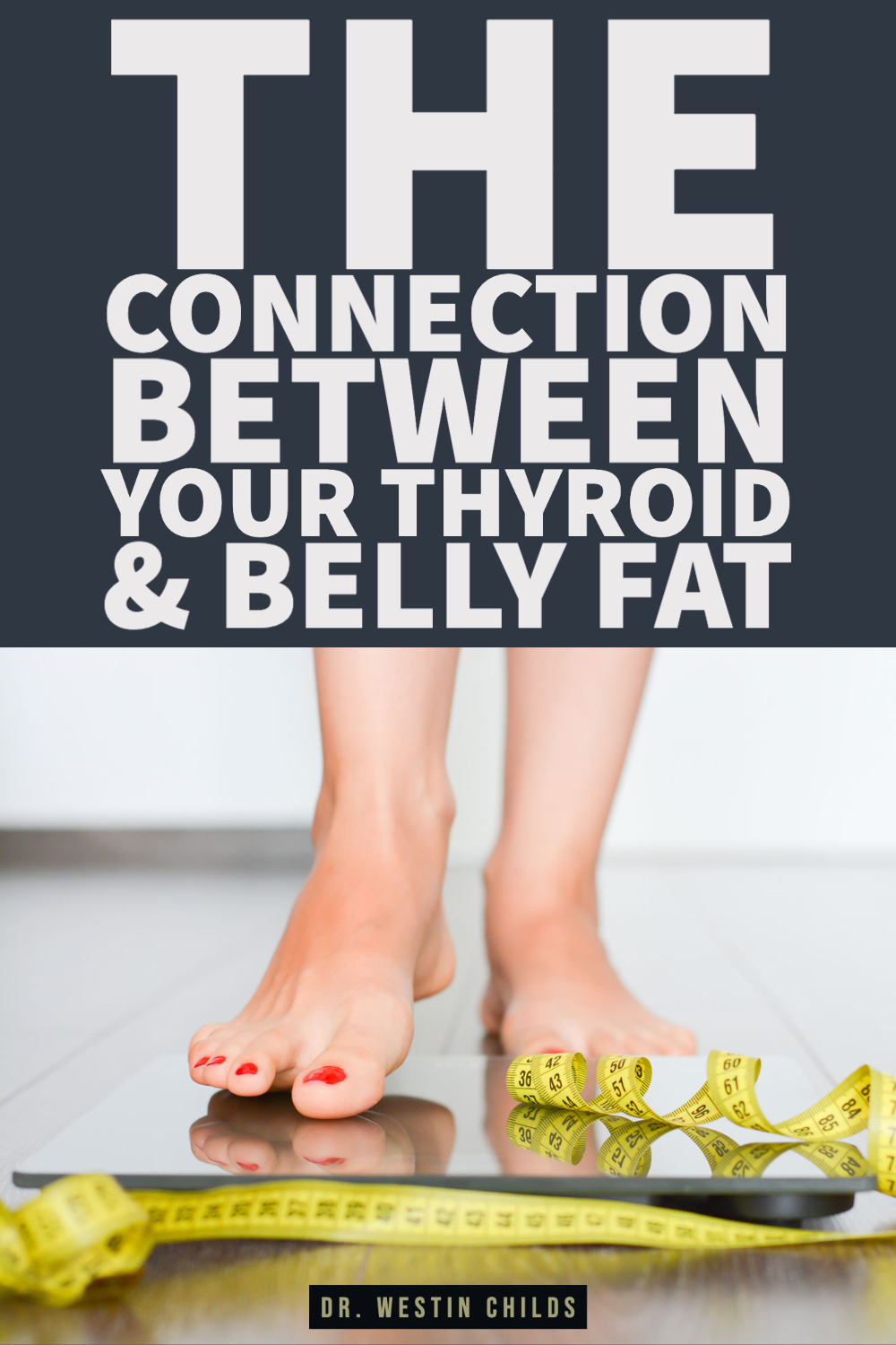 the connection between your thyroid & belly fat-1 the connection between your thyroid & belly fat