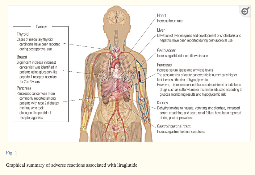 side effects associated with the use of liraglutide side effects associated with the use of liraglutide