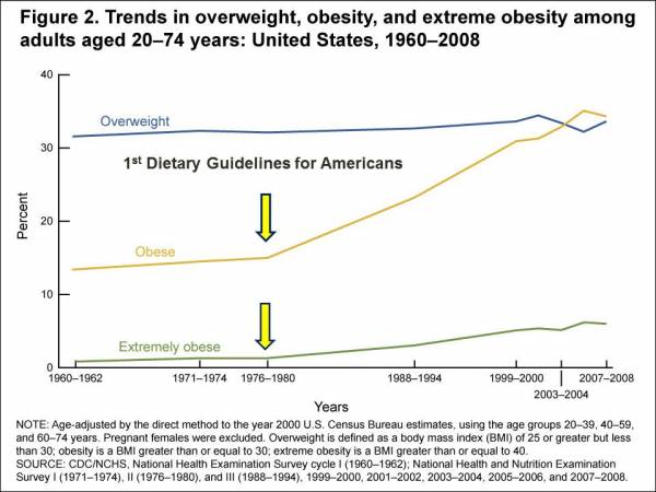 trends in obesity in the USA over time