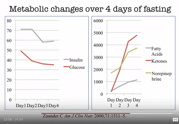 two graph which show the relationship between insuiln, glucose, fatty acids, ketones, and norepinephrine over a 4 day fast.