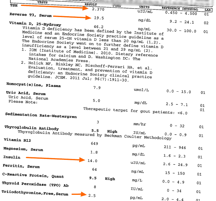 melanie's lab tests with arrows pointing to her abnormal TSH, reverse T3, fasting insulin, and free t3 levels.