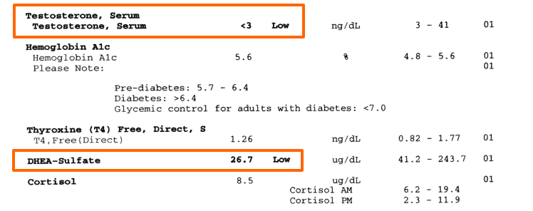 an example of a woman with both low free and total testosterone which are highlighted and flagged as abnormal.