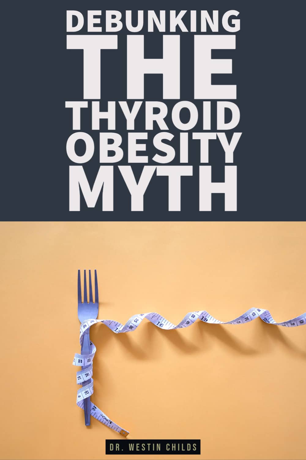 the thyroid obesity myth explained the thyroid obesity myth explained