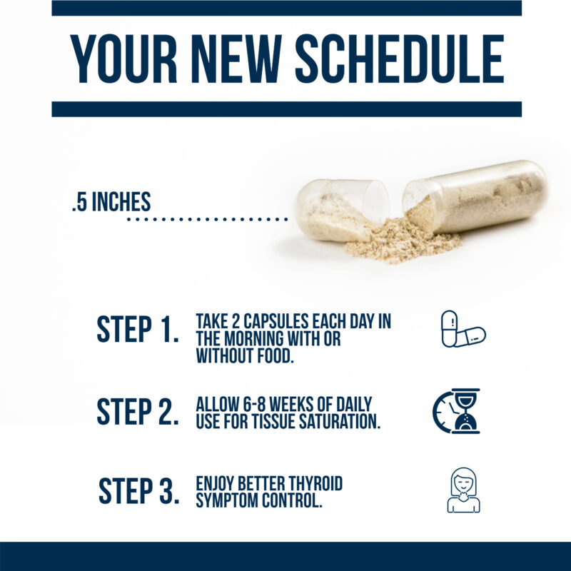 your new schedule taking t3 conversion booster, support thyroid function and hypothyroidism the fast way