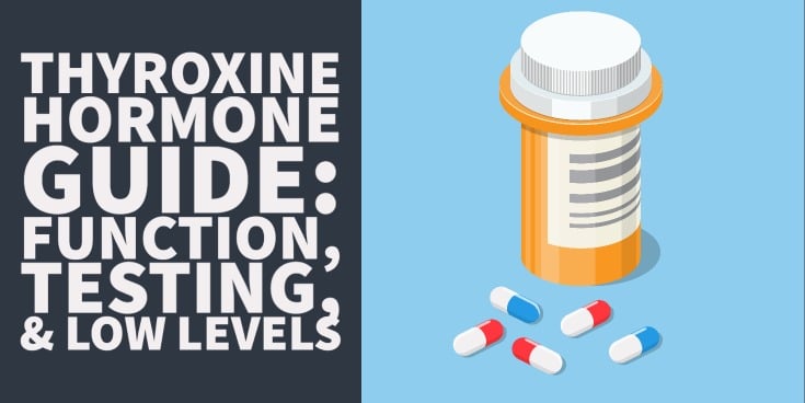 Thyroxine Hormone Guide: Function, Testing, Deficiency & More