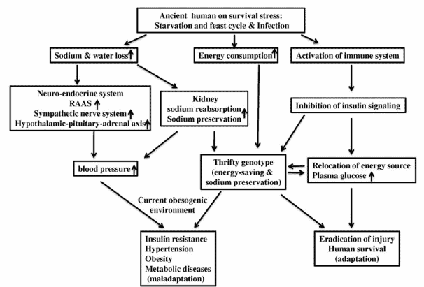 underlying causes of high blood pressure underlying causes of high blood pressure