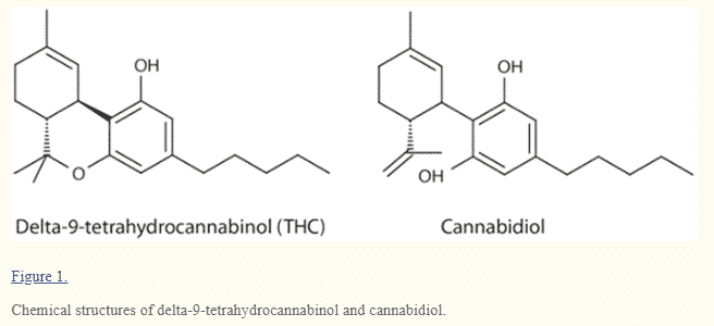 THC vs CBD chemical structure THC vs CBD chemical structure