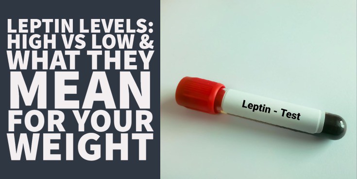 Leptin Levels: High vs Low & What it Means For your Weight