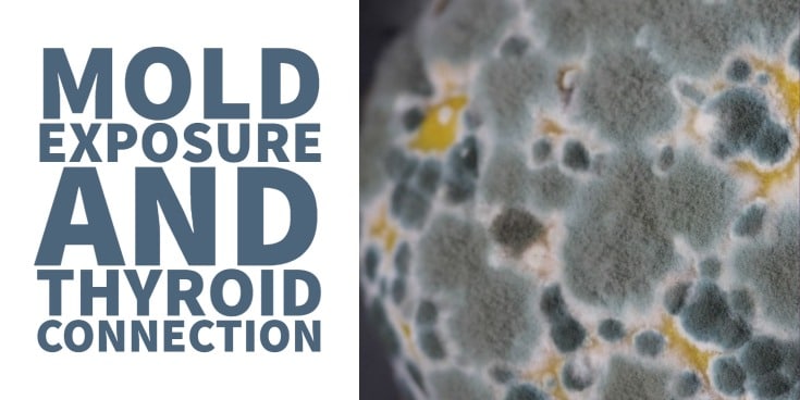 Mold Exposure Causes Low T3 but can be Treated with T3 Medication