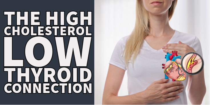 The High Cholesterol Low Thyroid Connection (Hypothyroidism)