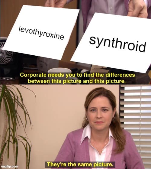 levothyroxine vs synthroid levothyroxine vs synthroid the office thyroid meme.