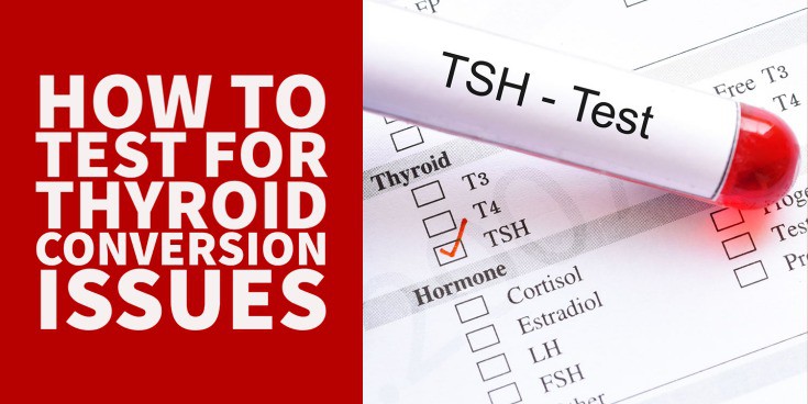 Testing for Thyroid Conversion Issues (Check These Lab Tests)